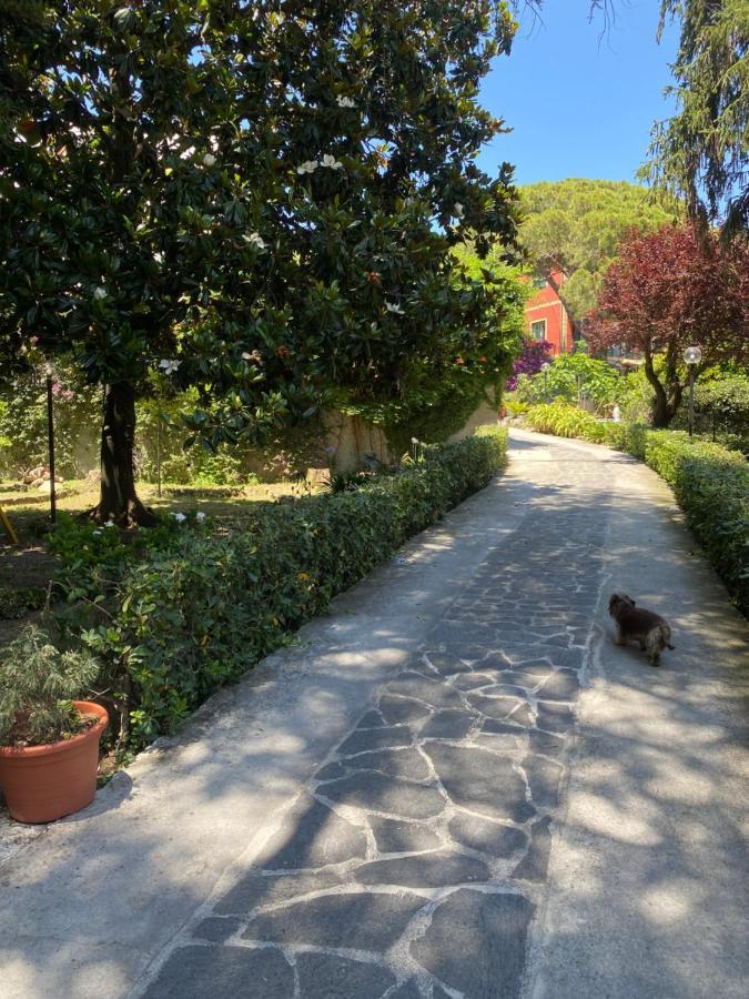 Le Magnolie Bed & Breakfast Santa Margherita Ligure Exterior photo